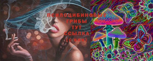 мет Инсар