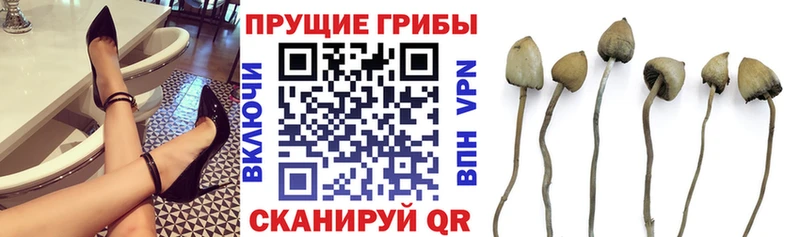 Купить закладки Заречный Галлюциногенные грибы мухоморы